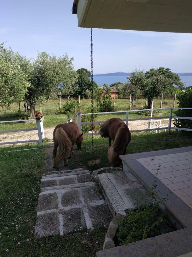 Il Poggio Degli Ulivi Lägenhet Trevignano Romano Exteriör bild